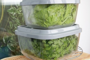 Как можно долго хранить зелень в холодильнике