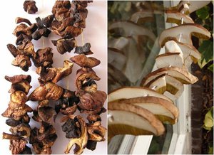 Как правильно хранить сушенные фрукты