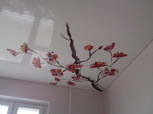 Чем можно помыть потолок