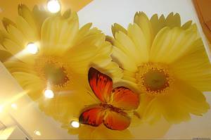 Как правильно мыть потолок