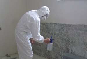 Как бороться с плесенью и повышенной влажностью