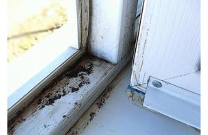 Как предотвратить появление плесени