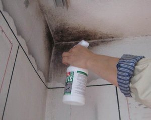 Почему появляется плесень