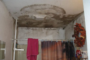 Описание возможного ущерба от появления грибка в ванной комнате