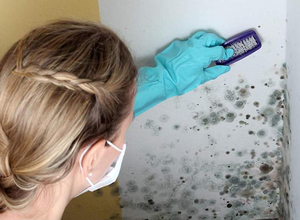 Способы и последовательность удаления грибковой плесени в ванной