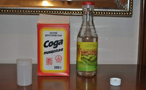 Описание народных средств и методов борьбы с грибковой плесенью