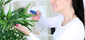 Домашние растения - прекрасные помощники в поддержании влажности и насыщенности кислородом!