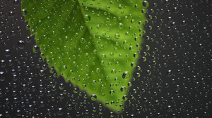 Какова норма влажности в доме