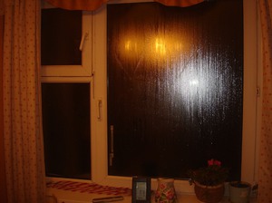 Повышенная влажность в квартире