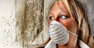 Запах сырости 