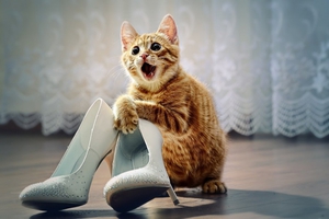 Специальные средства для избавления от запаха кошачьей мочи нужно распылять на предметах.