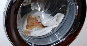 Полотенца с сильным загрязнением нужно замочить предварительно и потом стирать в интенсивном режиме.