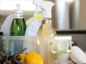 Описание народных способов и средств отстирывания плесени с ткани