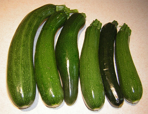 Как сохранить кабачки в квартире