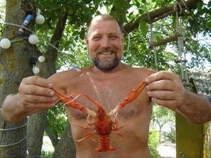 Описание нюансов выбора хороших раков