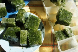 Перечень способов хранения укропа зимой