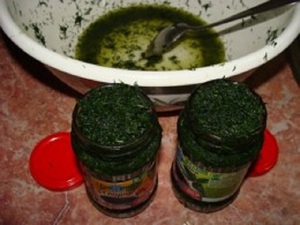 Советы как правильно засаливать укроп на зиму