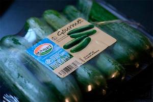 Хранение импортных огурцов