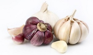 Как собрать чеснок и сохранить его