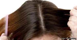 Как вывести вшей в домашних условиях народными средствами