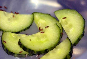 Как избавиться от мошек и мушек в кухне?