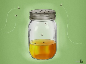 Ловушку для мошек можно сделать самостоятельно.