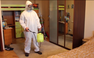 Сотридники СЭС могут быстро избавить вас от любых насекомых в доме.