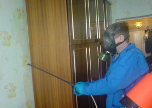 Как вывести клопов в квартире