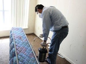 Средства против клопов