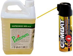 Как избавиться от клопов, выбираем средство.