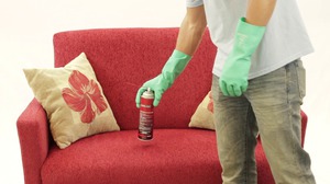 Избавиться от клопов сегодня достаточно просто.