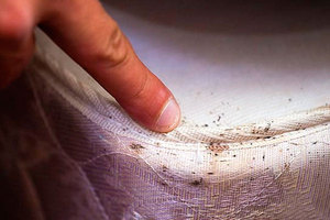 Средства против клопов в квартире