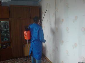 Какие средства есть против клопов