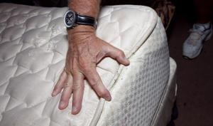 Как уничтожить постельных клопов