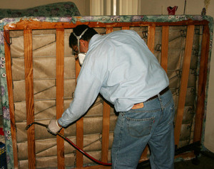 Средства борьбы с клопами