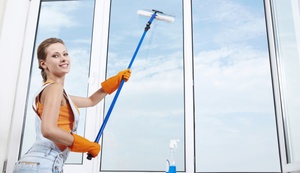 ПВХ окна нужно мыть при помощи специальной швабры.