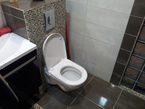 Описание унитаза