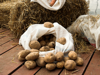 Как правильно надо хранить картошку